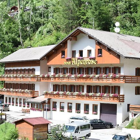 Hotel Alpenrose Alleghe Ngoại thất bức ảnh
