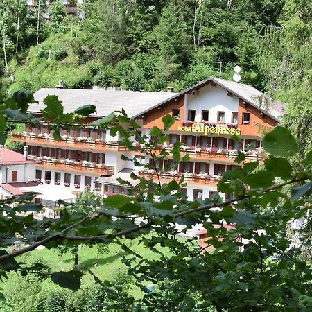 Hotel Alpenrose Alleghe Ngoại thất bức ảnh